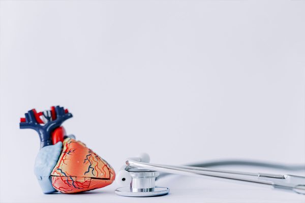 The Heart of Health: Exploring Cardiology Services at Besta
