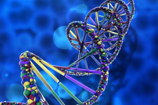 The Role of Genetics in Cancer: A Closer Look