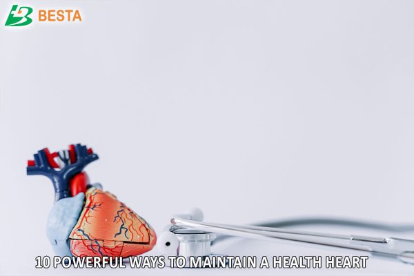 Heart Care: 10 Powerful Ways to Maintain a Health Heart